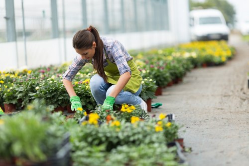 Garden waste being separated for recycling in Nine Elms