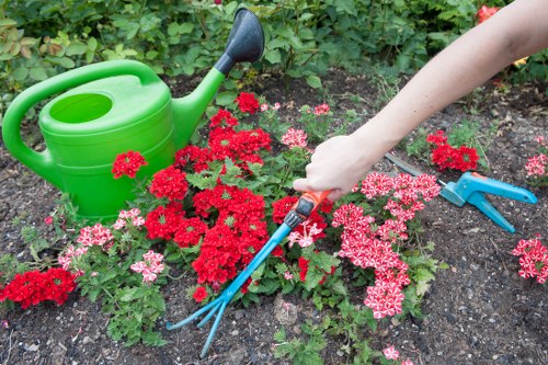Seasonal hedge maintenance work in a Nine Elms residential area