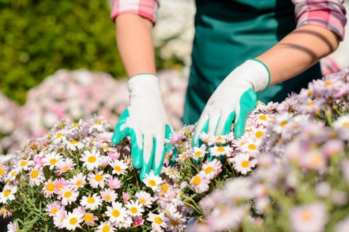 Zero-tolerance policy section for Gardeners Nine Elms