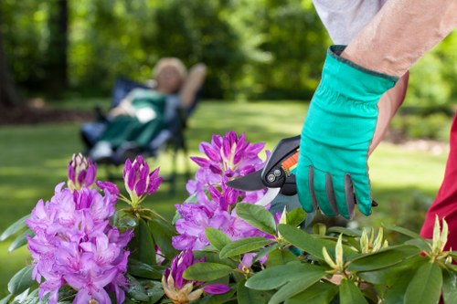 Professional lawn maintenance in Nine Elms including mowing and edging for a tidy finish