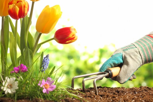 Urban garden lawn care in Nine Elms with patch repair and moss control treatment