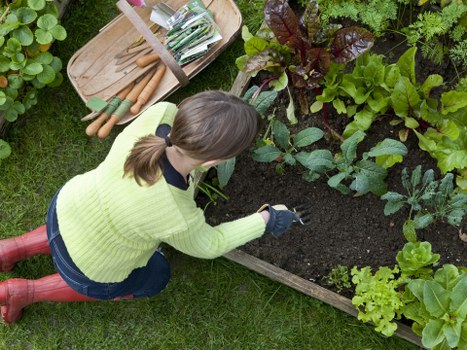 Final safety review by gardeners in Nine Elms