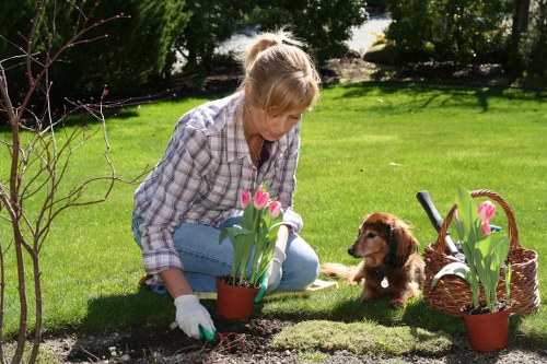Final resolution of a gardening service complaint