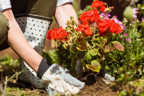 Urban garden design in Nine Elms with privacy screening and greenery