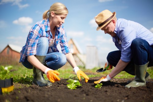 Risk assessment being completed before gardening tasks begin in Nine Elms