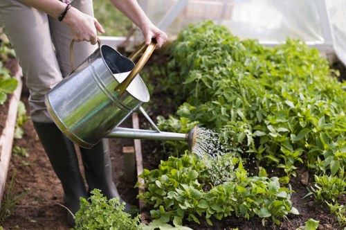 Well-kept Nine Elms terrace garden with plants, mulch, and clean edges