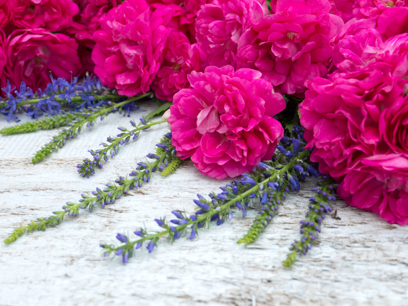 Landscape design garden